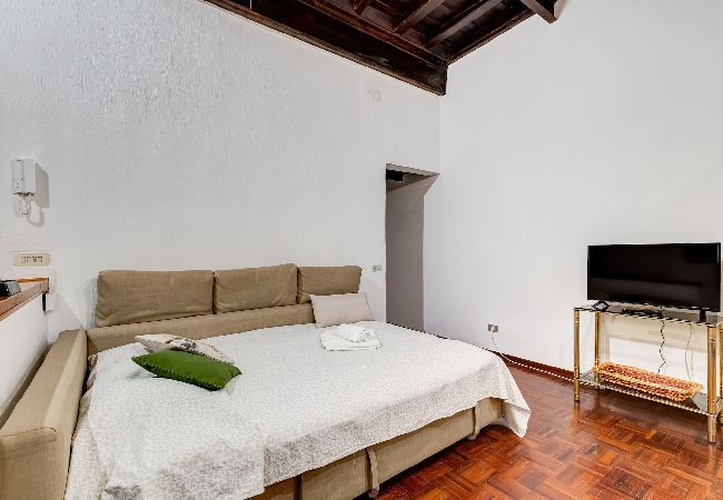 Appartamento a Roma - Spanish Steps Spacious Apartment Appartamento a Roma - Spanish Steps Spacious Apartment