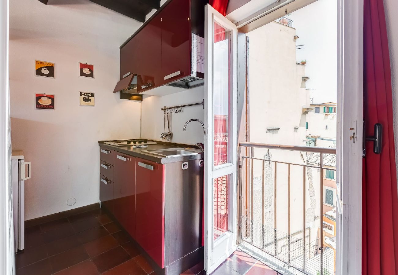 Apartment in Rome - Trastevere Terrace